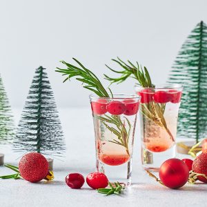 Cocktail Bar Hire At Christmas The Cocktail Lab